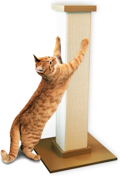 SmartCat photo 1